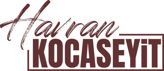 havrankocaseyit logo